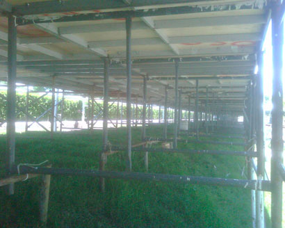 Lonas, Carpas, Domos y Estructuras Industriales